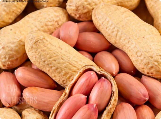 locate - 2026-02-14T143658.979