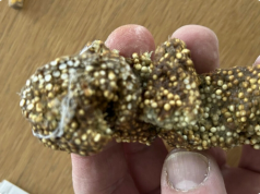 Most Nostalgic Moment of My Week