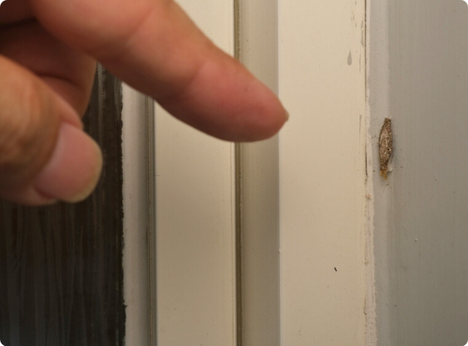 locate - 2026-02-23T004809.032